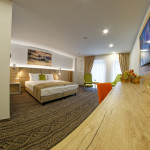 Camera 103 - DeLuxe Family Room