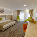 Camera 104 - DeLuxe Family Room
