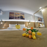 Camera 105 - DeLuxe Family Room