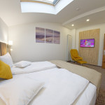 Apartament 201 - dormitorul