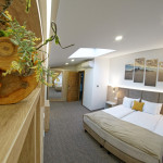 Camera 204 - Junior Suite